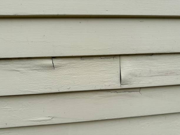 Siding Removal and Disposal in Nellieburg, MS